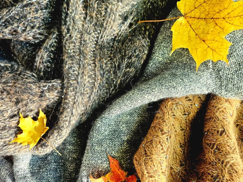 Why Alpaca Wool is the Ultimate Fabric for Comfort and Luxury